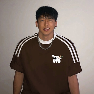 夏季美式高街重磅纯棉三条杠织带撞色男女短袖T恤ZD583-特P30图片