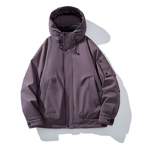 男士短款连帽羽绒服  D213-8592-P350图片