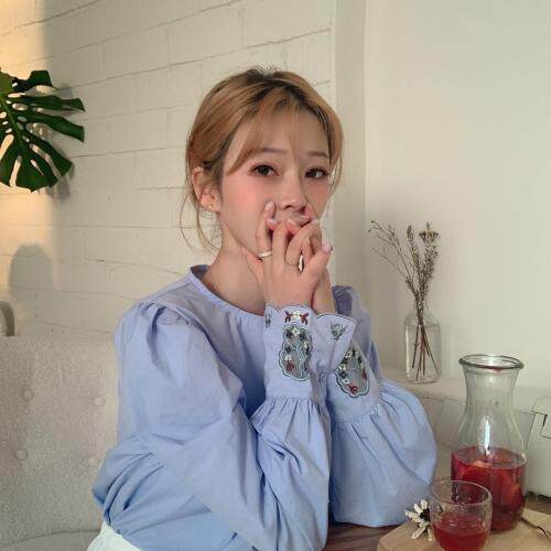 秋季订单款袖子刺绣套头衫，其它，新袖