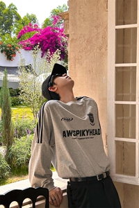 美式复古条纹学院风运动圆领卫衣长袖街头T恤 WY78 特P42图片