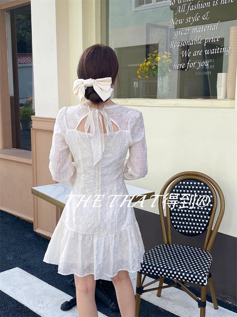 秋季新款刺绣连衣裙，女装连衣裙，得到THETHAT