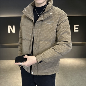 标50绒2025冬季跑量新款男士立领时尚潮流白鸭绒羽绒服夹克图片