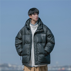 B225-W8534-P119-X149--贴标棉服-聚酯纤维，男装棉衣，电商B225
