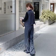 藏青色休闲时尚套装女秋季2025新款一整套穿搭马甲阔腿裤三件套，女装套装/套裙，2C056