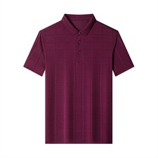 夏季新款男士翻领短袖t恤中年有领男装上衣服休闲POLO衫，男装T恤，电商B212（原钱塘6029）
