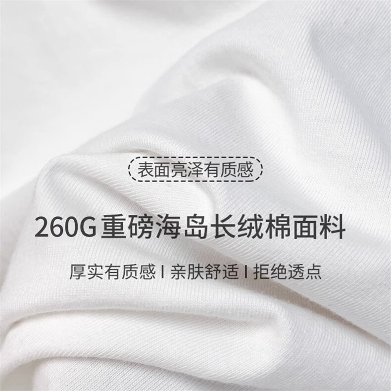 2025潮牌秋冬套头长袖宽松打底衫港风休闲潮流上衣纯色T恤男,男装T恤,星座506A