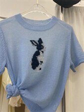 兔子毛衣，女装针织衫/毛衣，FMV(1F)