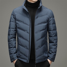 BHMYL92123钱塘2020-2中年男士商务休闲简约冬季厚款羽绒服P190，男装羽绒服，钱塘207-2