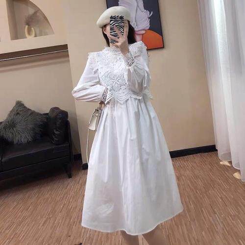 秋款上新，其它，阿爆