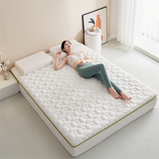 新款新疆棉花记忆海绵床护垫床垫，毯子，一起卖家纺