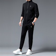 中年运动套装男春秋季休闲运动服男士外套卫衣爸爸秋装套装两件套，男装休闲套装，电商B212（原钱塘6029）
