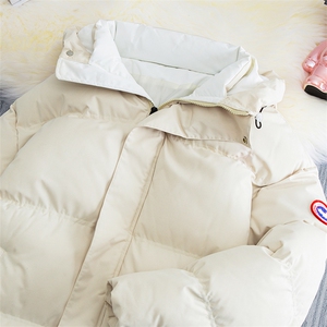 冬季新款棉衣男士加厚大鹅棉袄外套情侣款防寒保暖棉服1102-P60图片