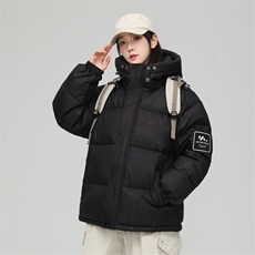 新标90白鸭绒连帽羽绒服时尚休闲简约百搭外套BL0617-P268，男装羽绒服，电商B306