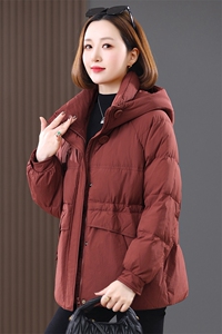 羽绒服冬季新款2024年羽绒服女加厚连帽中长款防风立领白鸭绒图片
