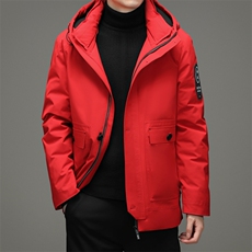 男士冬季纯色连帽羽绒服鸭绒厚款保暖休闲外套男装ZELD9841-P335，男装羽绒服，电商B212（原钱塘6029）