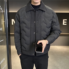 现货主推翻领灰鸭绒轻薄防寒保暖羽绒服外套上衣男YR121P155，男装羽绒服，电商B226-2（原B217-2）