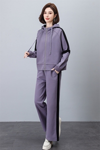 休闲套装女2025春秋新款小个子妈妈宽松卫衣洋气减龄两件套运动服图片
