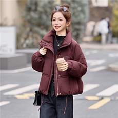 时尚立领短款白鸭绒羽绒服女2025冬季新款洋气减龄羽绒外套上衣，女装羽绒服，余墨
