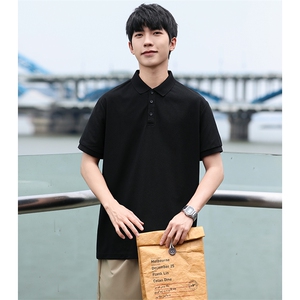 P02短袖男夏季新款纯色潮流半袖上衣休闲透气高级翻领polo衫T恤衫图片