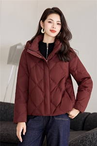 轻薄羽绒服女短款连帽小个子休闲百搭棉服2025冬季新款图片