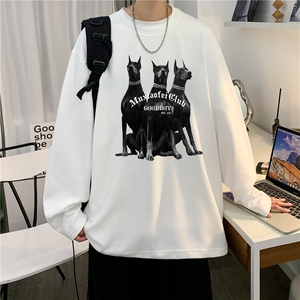 量大图低于控价自动【有货】长袖T恤HD019-1-CT25101-P25图片