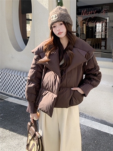 衣秀之家2319款短款大翻领加厚时尚羽绒服冬季保暖外套女图片