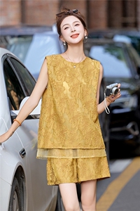 高级感时尚提花无袖套装女2025夏新款休闲气质减龄背心短裤两件套图片