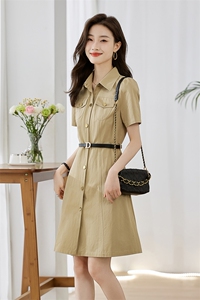 纯棉复古衬衫连衣裙女2024年夏季新款工装高级感气质减龄法式裙子图片
