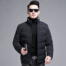 B2203-8钱塘2020-3冬季新款男士羽绒服90白鸭绒基础款精品P190，男装羽绒服，钱塘207-3