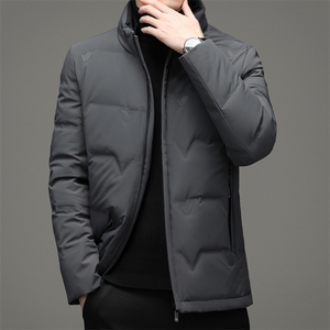 AN9873钱塘2020-3秋冬新款中年男士立领休闲百搭羽绒服外套P248图片