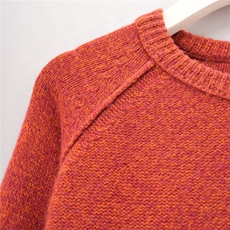 2025年夏季紧密织法插肩圆领套衫常规款通勤套头单件长袖时尚百搭，女装针织衫/毛衣，绒崒