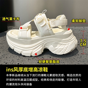 X4010-P155夏季厚底休闲凉鞋女增高老爹鞋松糕底魔术贴露趾鞋图片