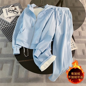 休闲运动时尚套装女春季新款高级感气质拉链连帽卫衣直筒裤两件套图片