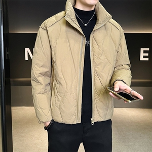 M-3XL 86323-P185 标50绒 短款立领轻薄羽绒服男图片