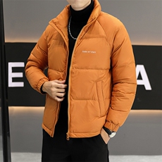冬季轻薄保暖男士外套轻奢休闲英伦白鸭绒羽绒服男Y1238-P120，男装羽绒服，星座210-3