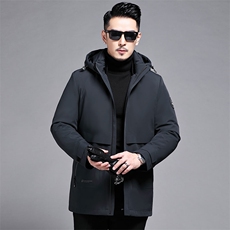 B2289钱塘2020-3冬季新款时尚休闲厚款中年男士羽绒P320，男装羽绒服，钱塘207-3