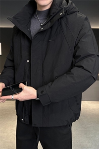 冬季新品男士日系阔版冲风衣羽绒服 数据款【标50控活动价298】图片