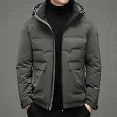 潮流羽绒服男士冬季连帽保暖工装百搭宽松休闲外套ZELD9848-P325，男装羽绒服，电商B212（原钱塘6029）