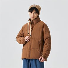 新标90%白鸭绒简约立领抽绳外套纯色加厚羽绒服ESY0205-P210，男装羽绒服，电商B306
