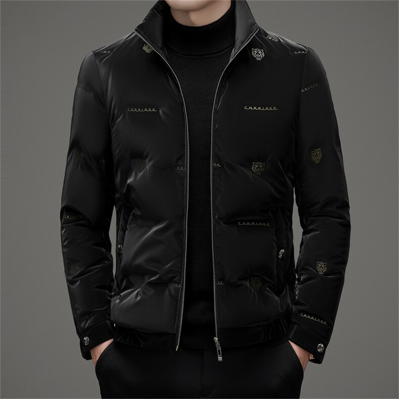 DAJ6221钱塘2020-2冬季新款百搭时尚休闲中年男士羽绒服P185,男装羽绒服,钱塘207-2