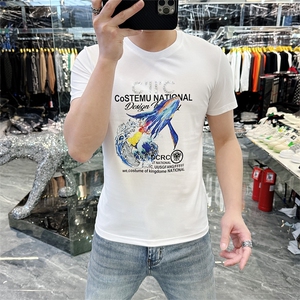 新款品质高端精品欧货夏季男T恤短袖潮流抖音A227B-A-737-P48图片