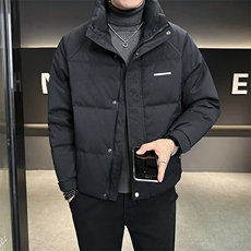 男士羽绒服2024新款冬季简约潮牌立领男装外套A313-8636-P225，男装羽绒服，电商A313