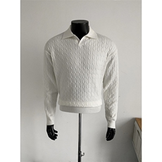 自家假模图B216D1201P752025秋冬男装海鸥领麻花毛衣，男装针织衫/毛衣，电商B216（原B302）