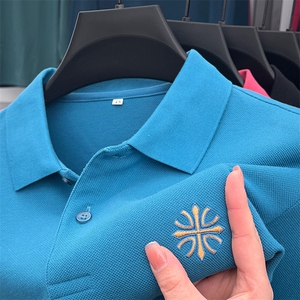 长袖t恤男士翻领polo衫夏季薄款纯棉中年商务休闲男装体恤上衣服图片