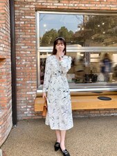 秋季新款韩版修身淑女气质高雅时尚连衣裙，女装连衣裙，荷塘月色