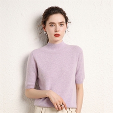 2025年秋季单件通勤半高领短袖谁时尚百搭通勤休闲修身，女装羊绒衫，三莲羊绒