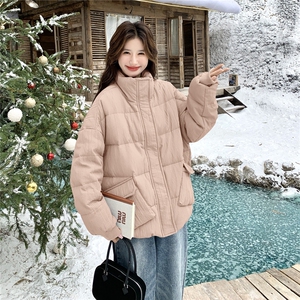 现货：冬季新款复古立领休闲面包羽绒服50绒2C135-8958P285K428图片
