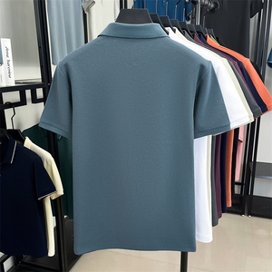 LWL-L83318D夏季男士新款短袖T恤青年修身体恤休闲POLO衫图片
