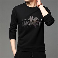 春秋季圆领卫衣男士宽松纯棉套头打底衫长袖t恤中年印花上衣，男装卫衣，电商B212（原钱塘6029）