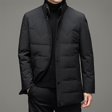 羽绒服外套男立领商务休闲中年男装冬季中老年爸爸装HL2166-P390，男装羽绒服，电商B212（原钱塘6029）